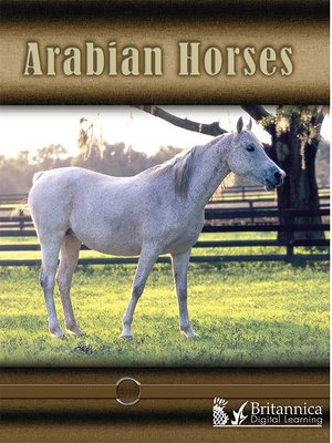 cover image of Arabian Horses